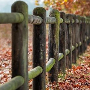 Natus dolore id magnam blanditiis.